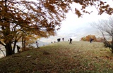 Clicca qui per vedere l'immagine in dettaglio